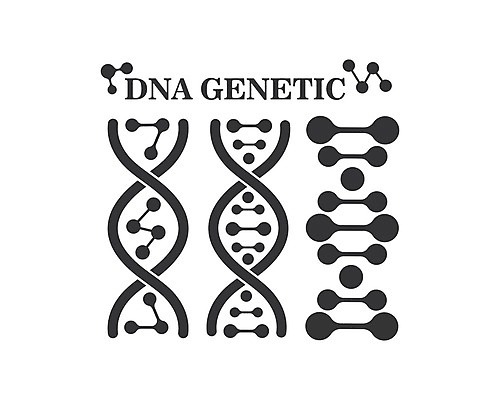 EPS 해외이미지 디자인 과학 일러스트 세포 나선형 실험 사람없음 진화 DNA 심볼 염색체 해외202105 해외일러스트 무늬 생명공학 소방 파일형식 벡터