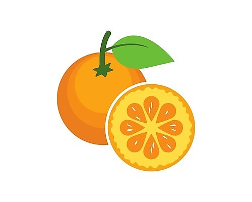 EPS 해외이미지 디자인 백그라운드 잎 오렌지 일러스트 단면 사람없음 심볼 슬라이스 해외202105 해외일러스트 식물 과일 파일형식 벡터