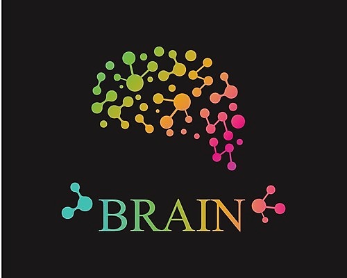 EPS 해외이미지 디자인 실루엣 과학 컨셉 일러스트 비즈니스 해부 추상 아이디어 건강 미술 약 머리 힘 마음 오르간 플랫 스마트 심볼 사인 뇌 신분 원자 기하학 인공 지능 활자 브레인스토밍 해외202105 해외일러스트 무늬 의학 문화예술 촬영기법 신체부위 건반악기 활자판 파일형식 벡터