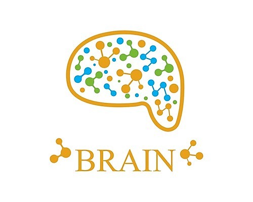 EPS 해외이미지 디자인 실루엣 과학 컨셉 일러스트 비즈니스 해부 추상 아이디어 건강 미술 약 머리 힘 마음 오르간 플랫 스마트 심볼 사인 뇌 신분 원자 기하학 인공 지능 활자 브레인스토밍 해외202105 해외일러스트 무늬 의학 문화예술 촬영기법 신체부위 건반악기 활자판 파일형식 벡터