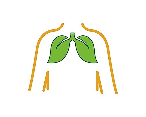 EPS 해외이미지 모양 디자인 과학 백그라운드 컨셉 잎 신체 일러스트 해부 추상 흡연 건강 약 오르간 호흡기관 호흡 심볼 사인 생물학 기하학 암 산소 고립 궤 돌봄 폴리곤 효과 해외202105 해외일러스트 식물 교육 무늬 의학 모션 담배 장기_의학 원소 건반악기 질병 파일형식 벡터