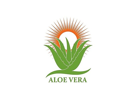 EPS 해외이미지 식물 캐릭터 디자인 꽃 백그라운드 잎 꽃무늬 일러스트 자연 선인장 건강 미술 그래픽 초록색 태양 약 흰색 OK 허브 심볼 내추럴 고립 돌봄 알로에 해외202105 해외일러스트 일러캐릭터 자연요소 컬러 무늬 의학 모션 문화예술 손짓 생태계 파일형식 벡터