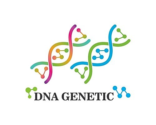 EPS 해외이미지 디자인 과학 일러스트 세포 나선형 사람없음 DNA 심볼 염색체 해외202105 해외일러스트 무늬 생명공학 파일형식 벡터