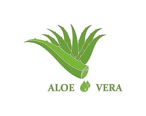 EPS 해외이미지 식물 무료이미지 캐릭터 디자인 꽃 백그라운드 잎 꽃무늬 일러스트 자연 선인장 건강 미술 그래픽 초록색 약 흰색 OK 허브 심볼 내추럴 고립 돌봄 알로에 해외202105 해외일러스트 일러캐릭터 컬러 무늬 의학 모션 문화예술 손짓 생태계 파일형식 벡터 무료콘텐츠