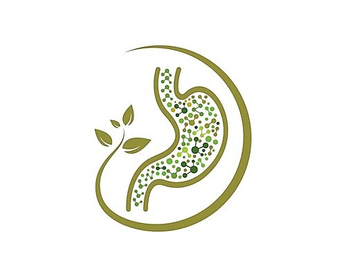 EPS 해외이미지 디자인 과학 백그라운드 잎 신체 일러스트 해부 건강 사람없음 내부 초록색 약 고통 의사 오르간 질병 만화 먹기 심볼 싱글 생물학 시스템 문제 돌봄 신맛 해외202105 해외일러스트 식물 교육 감정 컬러 의학 모션 의료진 건반악기 맛 파일형식 벡터