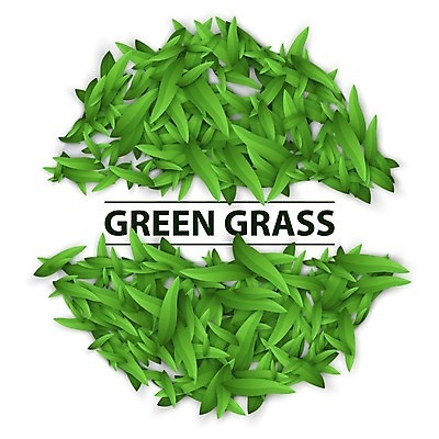 EPS 해외이미지 식물 디자인 백그라운드 잎 꽃무늬 일러스트 자연 잔디 장식 가로 초록색 세트 환경 정원 봄 성장 흰색 신선 다발 심볼 오브젝트 사인 에코 고립 생태학 엘리먼트 국경 해외202004 해외202105 해외일러스트 계절 교육 꽃 컬러 무늬 생태계 파일형식 벡터