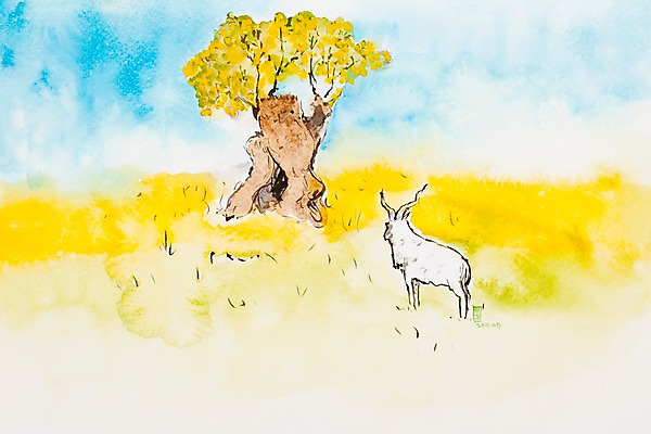 JPG 나무 식물 동물 한마리 백그라운드 일러스트 초원 사람없음 양 시화 국내일러스트 1 포유류 파일형식