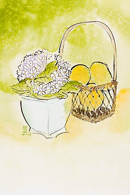 JPG 식물 꽃 화분 백그라운드 일러스트 사람없음 바구니 시화 오브젝트 국내일러스트 파일형식