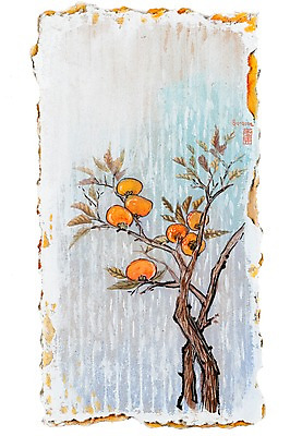 JPG 나무 식물 열매 백그라운드 과일 일러스트 감 사람없음 시화 감나무 골판지 국내일러스트 종이 파일형식