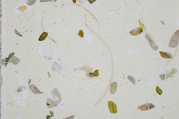 JPG 종이 백그라운드 잎 일러스트 나뭇잎 사람없음 시화 국내일러스트 식물 파일형식