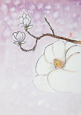 JPG 식물 계절 꽃 백그라운드 일러스트 봄꽃 자연 사람없음 봄 흰색 시화 세송이 목련 봄배경 국내일러스트 컬러 3 생태계 파일형식