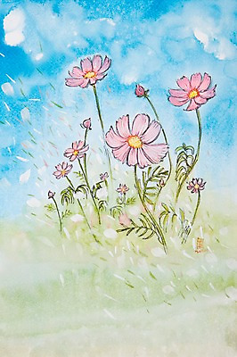 JPG 식물 꽃잎 꽃 분홍색 여러송이 백그라운드 일러스트 날리기 바람 가을꽃 풍경 사람없음 가을 풀 시화 코스모스 가을배경 국내일러스트 자연요소 계절 컬러 다수 모션 날씨 파일형식 가을_계절