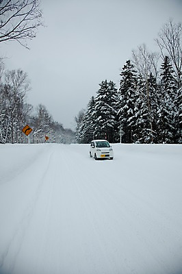 포토 JPG 주간 나무 식물 해외기획촬영 계절 도로 길 설경 겨울 2010년일본 자동차 자연 풍경 사람없음 야외 설원 일본 눈 표지판 홋카이도 도로표지판 국내포토 자연요소 아시아 육상교통 교통시설 날씨 알림판 눈_날씨 생태계 파일형식