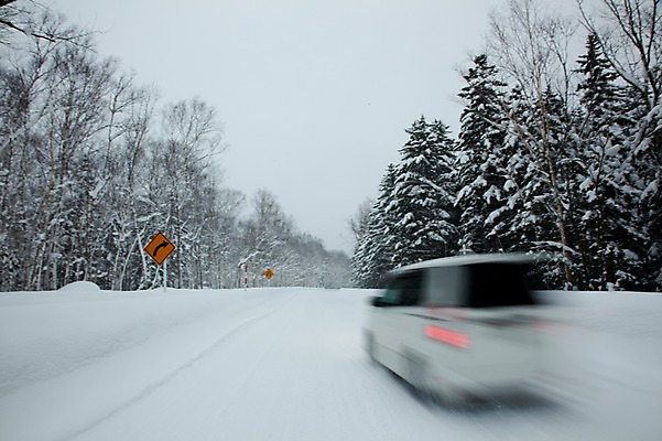 포토 JPG 주간 나무 식물 해외기획촬영 계절 도로 길 설경 겨울 2010년일본 자동차 자연 풍경 사람없음 야외 달리기 설원 일본 눈 표지판 홋카이도 도로표지판 국내포토 자연요소 아시아 육상교통 교통시설 모션 날씨 알림판 눈_날씨 생태계 파일형식