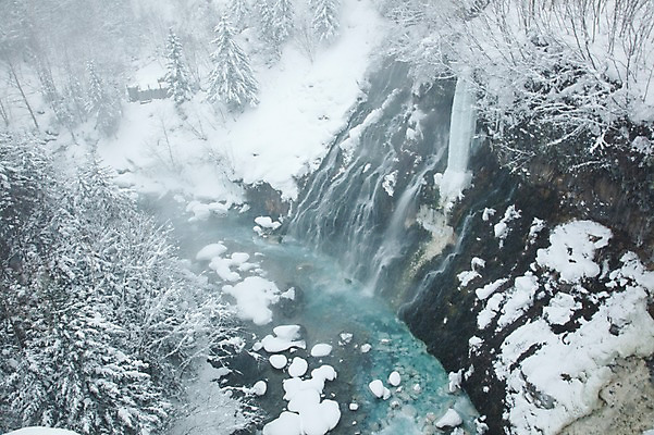 포토 JPG 주간 나무 식물 해외기획촬영 계절 설경 겨울 2010년일본 자연 풍경 사람없음 야외 설원 일본 폭포 눈 홋카이도 시로가네 시로가네온천 흰수염폭포 국내포토 자연요소 아시아 날씨 눈_날씨 온천 생태계 파일형식