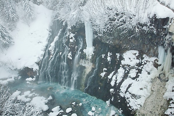 포토 JPG 주간 나무 식물 해외기획촬영 계절 설경 겨울 2010년일본 자연 풍경 사람없음 야외 설원 일본 폭포 눈 홋카이도 시로가네 시로가네온천 흰수염폭포 국내포토 자연요소 아시아 날씨 눈_날씨 온천 생태계 파일형식