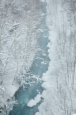 포토 JPG 주간 나무 식물 해외기획촬영 계절 설경 겨울 2010년일본 자연 풍경 사람없음 야외 설원 일본 폭포 눈 홋카이도 시로가네 시로가네온천 흰수염폭포 국내포토 자연요소 아시아 날씨 눈_날씨 온천 생태계 파일형식