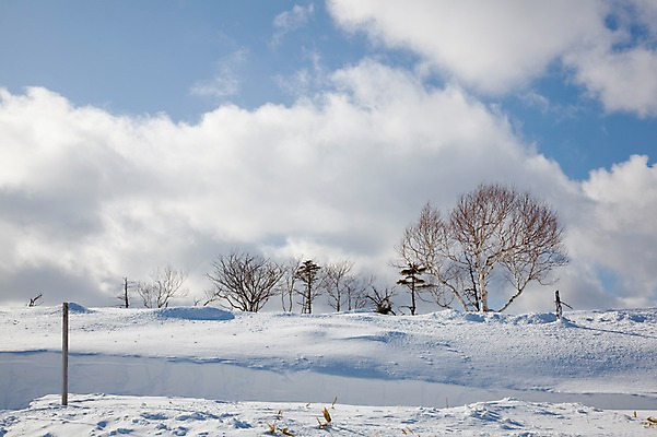 포토 JPG 주간 나무 식물 구름 해외기획촬영 계절 설경 겨울 2010년일본 자연 하늘 풍경 사람없음 야외 설원 일본 눈 홋카이도 아칸국립공원 비호로토게 국내포토 자연요소 공원 아시아 날씨 눈_날씨 생태계 파일형식
