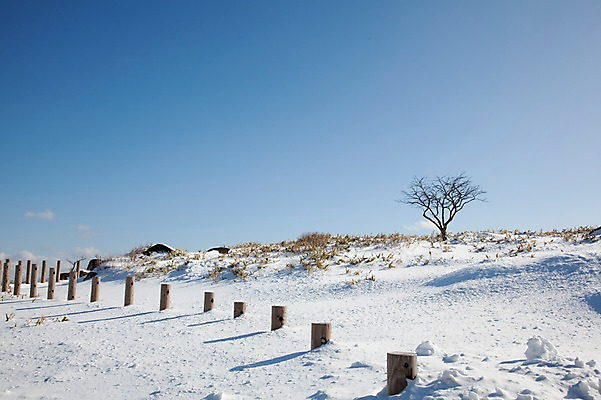 포토 JPG 주간 나무 식물 해외기획촬영 계절 설경 겨울 2010년일본 자연 하늘 풍경 사람없음 야외 설원 일본 눈 홋카이도 아칸국립공원 비호로토게 국내포토 자연요소 공원 아시아 날씨 눈_날씨 생태계 파일형식