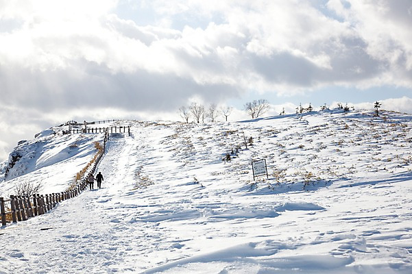 포토 JPG 주간 나무 식물 구름 해외기획촬영 계절 설경 겨울 2010년일본 자연 풍경 야외 울타리 설원 일본 눈 정상 언덕 홋카이도 아칸국립공원 비호로토게 국내포토 자연요소 공원 아시아 날씨 눈_날씨 담장 생태계 파일형식