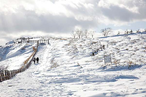 포토 JPG 주간 나무 식물 구름 해외기획촬영 계절 설경 겨울 2010년일본 자연 하늘 풍경 야외 울타리 설원 일본 눈 정상 언덕 홋카이도 아칸국립공원 비호로토게 국내포토 자연요소 공원 아시아 날씨 눈_날씨 담장 생태계 파일형식