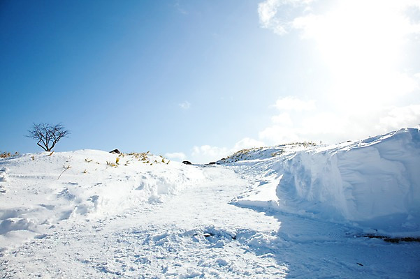 포토 JPG 주간 구름 해외기획촬영 계절 설경 겨울 2010년일본 자연 하늘 풍경 사람없음 야외 설원 일본 눈 언덕 홋카이도 아칸국립공원 비호로토게 국내포토 자연요소 공원 아시아 날씨 눈_날씨 생태계 파일형식