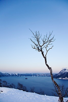포토 JPG 주간 나무 식물 해외기획촬영 계절 호수 설경 겨울 2010년일본 자연 산 풍경 사람없음 야외 설원 일본 눈 홋카이도 아칸국립공원 마슈호 국내포토 자연요소 공원 아시아 날씨 눈_날씨 생태계 파일형식