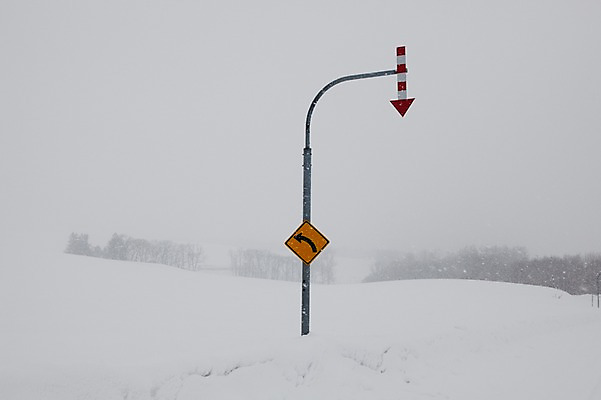 포토 JPG 주간 나무 식물 해외기획촬영 계절 설경 겨울 2010년일본 자연 풍경 사람없음 야외 설원 일본 눈 표지판 홋카이도 도로표지판 비에이 국내포토 자연요소 아시아 도로 날씨 알림판 눈_날씨 생태계 파일형식