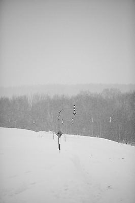 포토 JPG 주간 나무 식물 해외기획촬영 계절 설경 겨울 2010년일본 자연 흑백 풍경 사람없음 야외 설원 일본 눈 표지판 홋카이도 도로표지판 비에이 국내포토 자연요소 아시아 도로 날씨 알림판 눈_날씨 촬영기법 생태계 파일형식