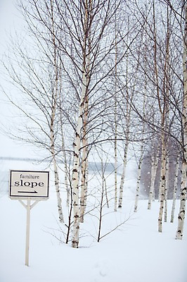 포토 JPG 주간 나무 식물 해외기획촬영 계절 설경 겨울 2010년일본 자연 풍경 사람없음 야외 설원 일본 눈 숲 홋카이도 비에이 자작나무 자작나무숲 국내포토 자연요소 아시아 날씨 눈_날씨 생태계 파일형식