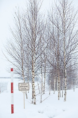 포토 JPG 주간 나무 식물 해외기획촬영 계절 설경 겨울 2010년일본 자연 풍경 사람없음 야외 설원 일본 팻말 눈 홋카이도 비에이 자작나무 국내포토 자연요소 아시아 날씨 프레임 눈_날씨 생태계 파일형식