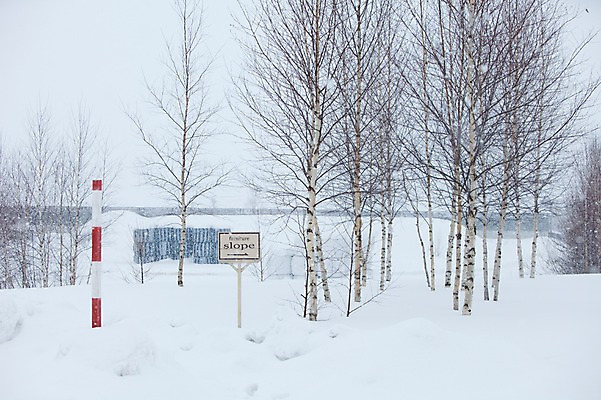 포토 JPG 주간 나무 식물 해외기획촬영 계절 설경 겨울 2010년일본 자연 풍경 사람없음 야외 설원 일본 팻말 눈 홋카이도 비에이 자작나무 국내포토 자연요소 아시아 날씨 프레임 눈_날씨 생태계 파일형식