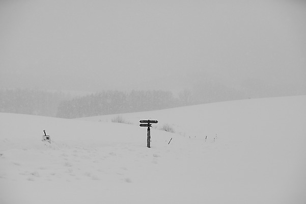 포토 JPG 주간 해외기획촬영 계절 설경 겨울 2010년일본 자연 풍경 사람없음 야외 설원 일본 팻말 눈 표지판 홋카이도 비에이 국내포토 자연요소 아시아 날씨 프레임 알림판 눈_날씨 생태계 파일형식