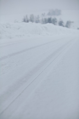 포토 JPG 주간 나무 식물 해외기획촬영 계절 길 설경 겨울 2010년일본 자국 자연 풍경 사람없음 야외 설원 일본 눈 바퀴자국 홋카이도 비에이 국내포토 자연요소 아시아 날씨 눈_날씨 생태계 파일형식