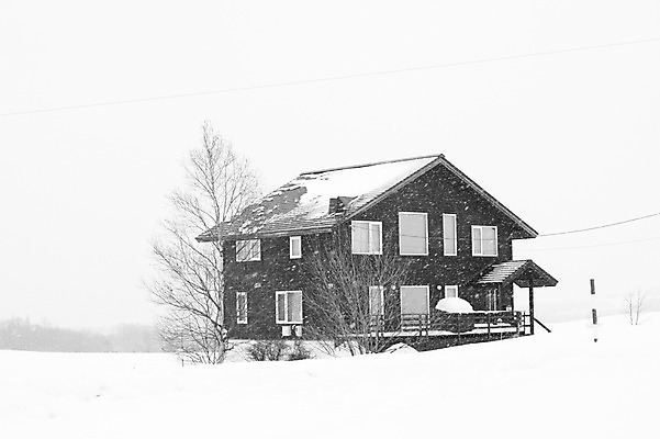 포토 JPG 주간 나무 식물 해외기획촬영 계절 설경 겨울 2010년일본 자연 주택 흑백 풍경 사람없음 야외 건물 설원 일본 눈 홋카이도 비에이 국내포토 자연요소 건축물 아시아 날씨 눈_날씨 촬영기법 생태계 파일형식