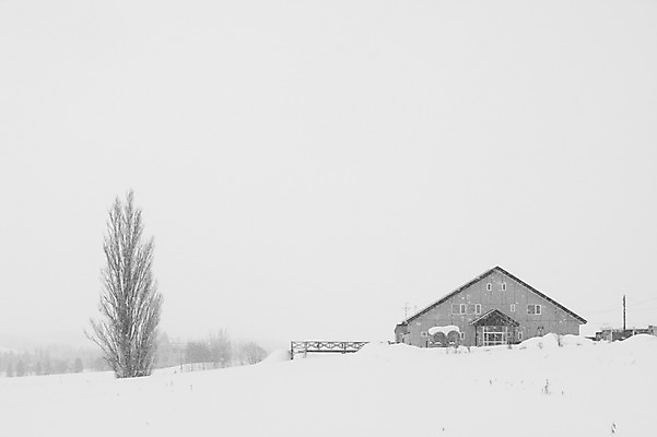 포토 JPG 주간 나무 식물 해외기획촬영 계절 설경 겨울 2010년일본 자연 주택 흑백 풍경 사람없음 야외 건물 설원 일본 눈 홋카이도 비에이 국내포토 자연요소 건축물 아시아 날씨 눈_날씨 촬영기법 생태계 파일형식