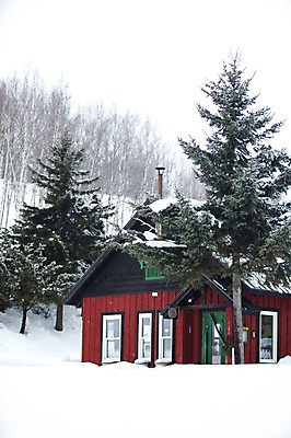 포토 JPG 주간 나무 식물 해외기획촬영 계절 설경 겨울 2010년일본 자연 주택 풍경 사람없음 야외 건물 설원 일본 눈 홋카이도 비에이 국내포토 자연요소 건축물 아시아 날씨 눈_날씨 생태계 파일형식