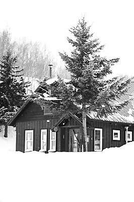 포토 JPG 주간 나무 식물 해외기획촬영 계절 설경 겨울 2010년일본 자연 주택 흑백 풍경 사람없음 야외 건물 설원 일본 눈 홋카이도 비에이 국내포토 자연요소 건축물 아시아 날씨 눈_날씨 촬영기법 생태계 파일형식