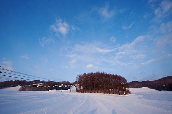 포토 JPG 주간 나무 식물 구름 해외기획촬영 계절 설경 겨울 스포츠시설 2010년일본 자연 하늘 겨울스포츠 스키장 풍경 사람없음 야외 레포츠 설원 일본 눈 홋카이도 리프트 국내포토 자연요소 아시아 스포츠 레저 시설 생태계 파일형식 나라