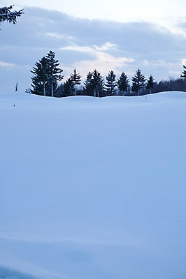 포토 JPG 주간 나무 식물 구름 해외기획촬영 계절 설경 겨울 2010년일본 자연 하늘 풍경 사람없음 야외 설원 일본 눈 홋카이도 국내포토 자연요소 아시아 날씨 눈_날씨 생태계 파일형식