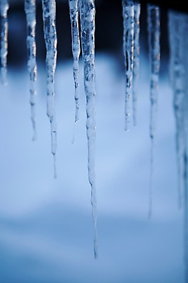 포토 JPG 주간 해외기획촬영 계절 겨울 2010년일본 자연 풍경 사람없음 야외 일본 얼음 홋카이도 고드름 국내포토 자연요소 아시아 생태계 파일형식