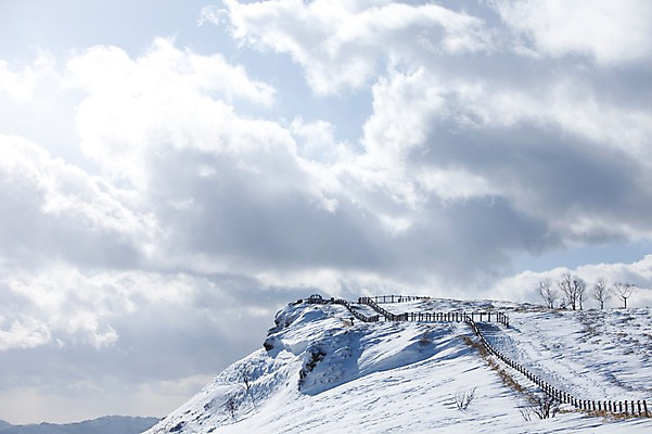 포토 JPG 주간 나무 식물 구름 해외기획촬영 계절 설경 겨울 2010년일본 자연 하늘 풍경 사람없음 야외 울타리 설원 일본 눈 정상 언덕 홋카이도 아칸국립공원 비호로토게 국내포토 자연요소 공원 아시아 날씨 눈_날씨 담장 생태계 파일형식