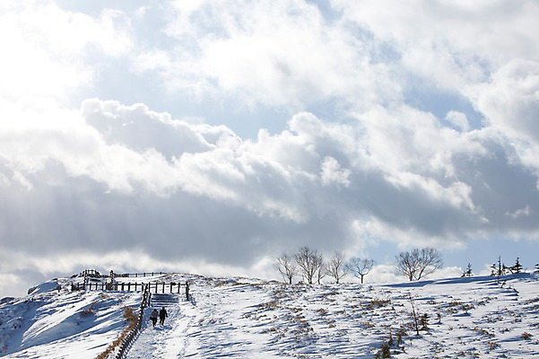 포토 JPG 주간 나무 식물 구름 해외기획촬영 계절 설경 겨울 2010년일본 자연 하늘 풍경 야외 울타리 설원 일본 눈 정상 언덕 홋카이도 아칸국립공원 비호로토게 국내포토 자연요소 공원 아시아 날씨 눈_날씨 담장 생태계 파일형식