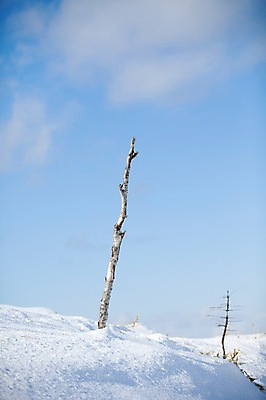 포토 JPG 주간 나무 식물 구름 해외기획촬영 계절 설경 겨울 2010년일본 자연 하늘 풍경 사람없음 야외 설원 일본 눈 홋카이도 아칸국립공원 비호로토게 국내포토 자연요소 공원 아시아 날씨 눈_날씨 생태계 파일형식