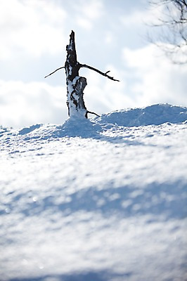 포토 JPG 주간 나무 식물 구름 해외기획촬영 계절 설경 겨울 2010년일본 자연 풍경 사람없음 야외 설원 일본 눈 홋카이도 아칸국립공원 비호로토게 국내포토 자연요소 공원 아시아 날씨 눈_날씨 생태계 파일형식