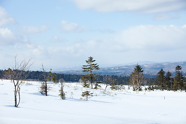 포토 JPG 주간 나무 식물 구름 해외기획촬영 계절 설경 겨울 2010년일본 자연 하늘 풍경 사람없음 야외 설원 일본 눈 홋카이도 아칸국립공원 비호로토게 국내포토 자연요소 공원 아시아 날씨 눈_날씨 생태계 파일형식