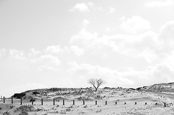 포토 JPG 주간 나무 식물 구름 해외기획촬영 계절 설경 겨울 2010년일본 자연 하늘 흑백 풍경 사람없음 야외 울타리 설원 일본 눈 언덕 홋카이도 아칸국립공원 비호로토게 국내포토 자연요소 공원 아시아 날씨 눈_날씨 촬영기법 담장 생태계 파일형식