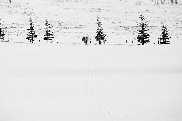 포토 JPG 주간 나무 식물 해외기획촬영 계절 설경 겨울 2010년일본 자연 흑백 풍경 사람없음 야외 설원 일본 눈 홋카이도 아칸국립공원 비호로토게 국내포토 자연요소 공원 아시아 날씨 눈_날씨 촬영기법 생태계 파일형식