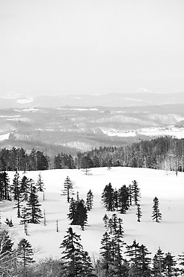 포토 JPG 주간 나무 식물 해외기획촬영 계절 설경 겨울 2010년일본 자연 산 흑백 풍경 사람없음 야외 설원 일본 눈 홋카이도 아칸국립공원 비호로토게 국내포토 자연요소 공원 아시아 날씨 눈_날씨 촬영기법 생태계 파일형식