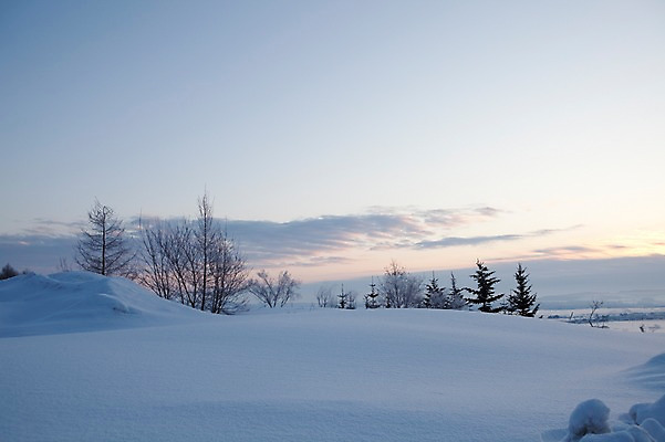 포토 JPG 주간 나무 식물 구름 해외기획촬영 계절 설경 겨울 2010년일본 자연 하늘 풍경 사람없음 야외 설원 일본 눈 홋카이도 국내포토 자연요소 아시아 날씨 눈_날씨 생태계 파일형식